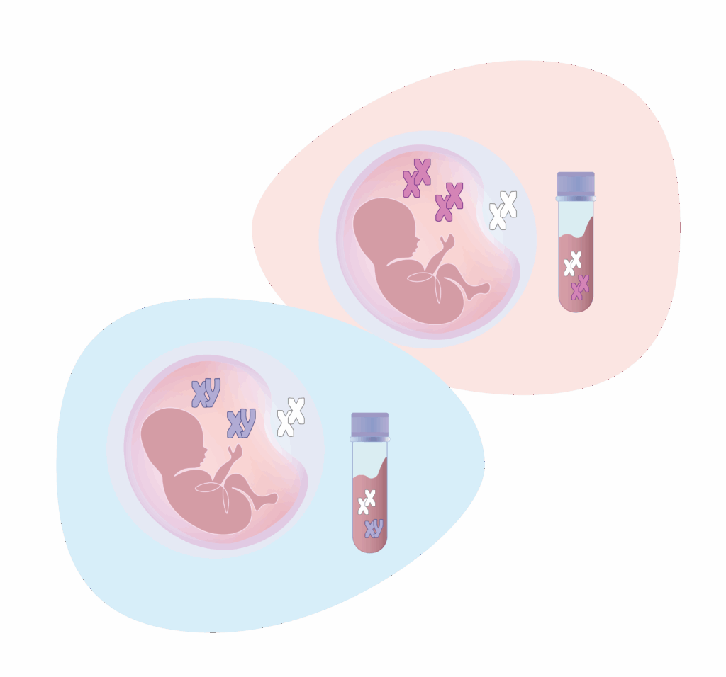 Hur fungerar testet?